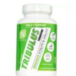 0 1a246c99 03d8 42b7 b274 91548939153d