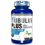 0 26ba6941 35f0 4878 831f 857422c918e5