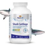 شارک کارتیلیج