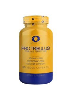 0 9f77bd8e cccc 49af a96f acf57d4a07a0