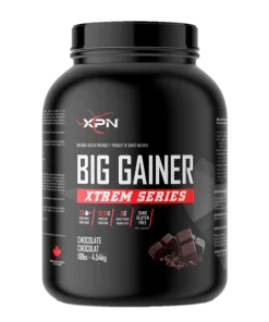 بیگ گینر ایکس پی ان