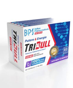 0 b319adc8 5439 42ae ae80 7e16893e129c