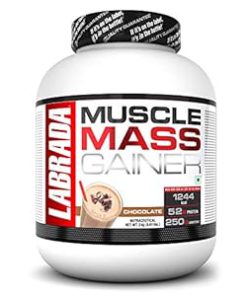 ماسل مس گینر لابرادا