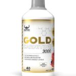 گلد کارنیتین 3000 وایکینگ فورس
