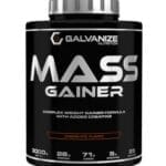 مس گینر گالوانایز 3000 گرمی