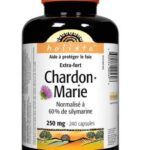 خار مریم هولیستا