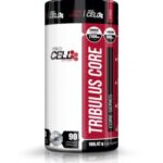 0 db5ad78d 95d0 40a1 8afd fa3092dd580e